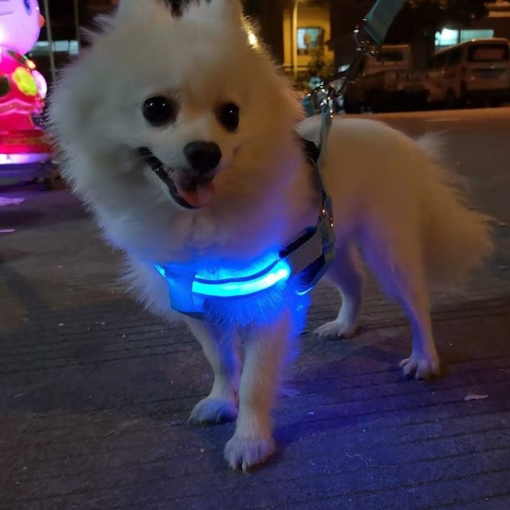 Дышащая светящаяся LED-шлейка  – обзор и цена Tech Dog Accessories