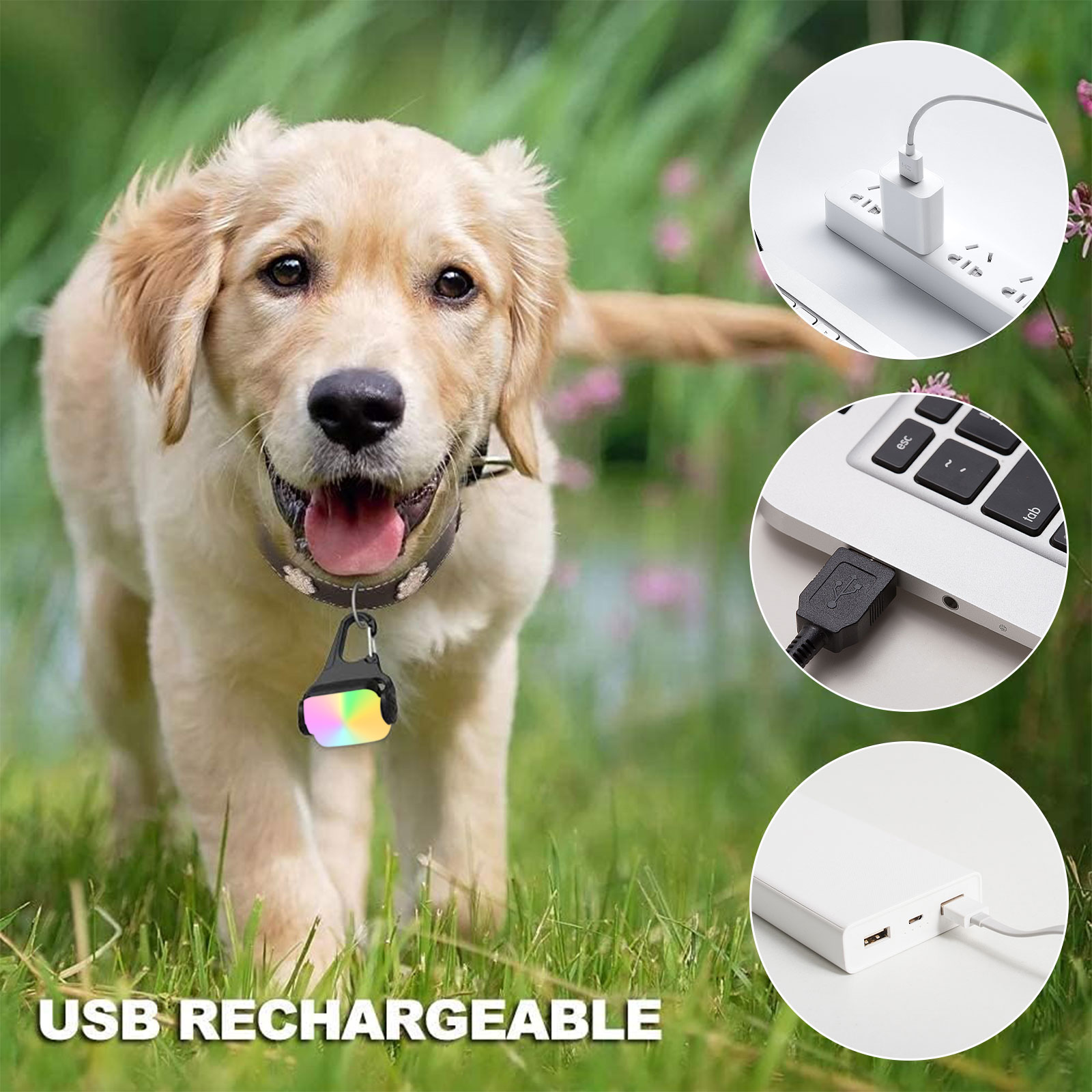 Светящийся подвесной ошейник д – обзор и цена Tech Dog Accessories